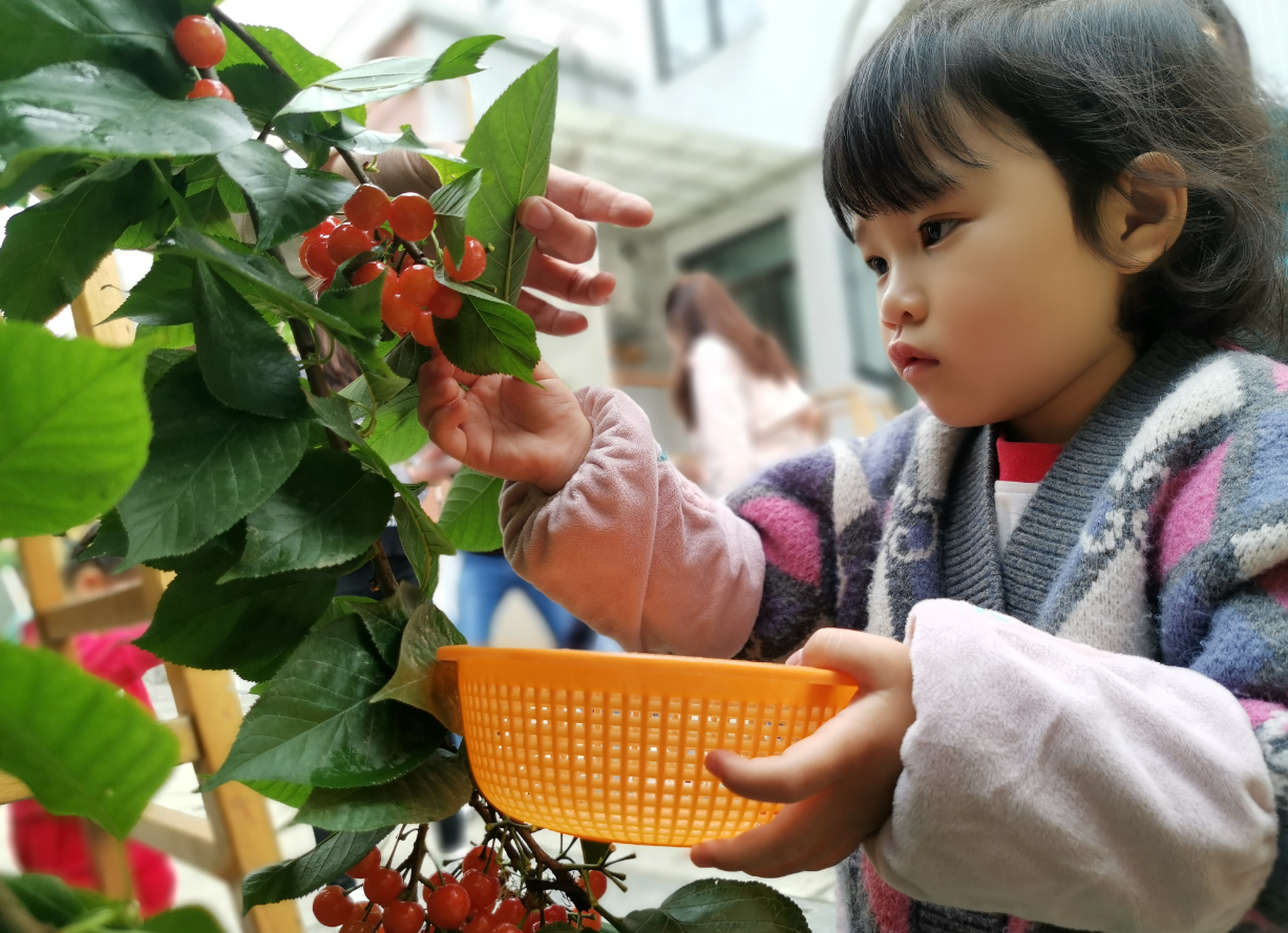 微信截图_20210409083906.png 微信截图_20210409083906.png