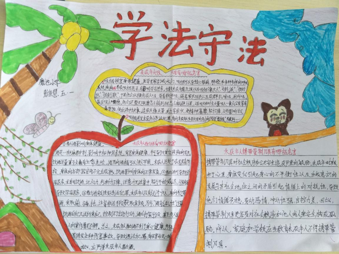 井研县磨池小学开展“法律进学校”系列活动