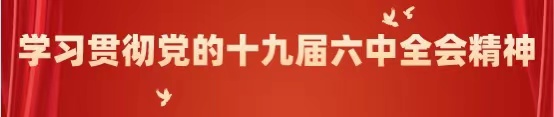 成都市第二幼儿园党支部学习十九届六中全会精神