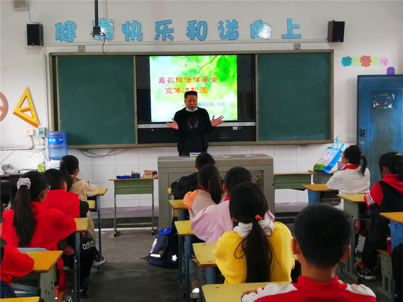 乐山市沙湾区嘉农镇中心小学开展青年普法志愿者法治文化基层行活动