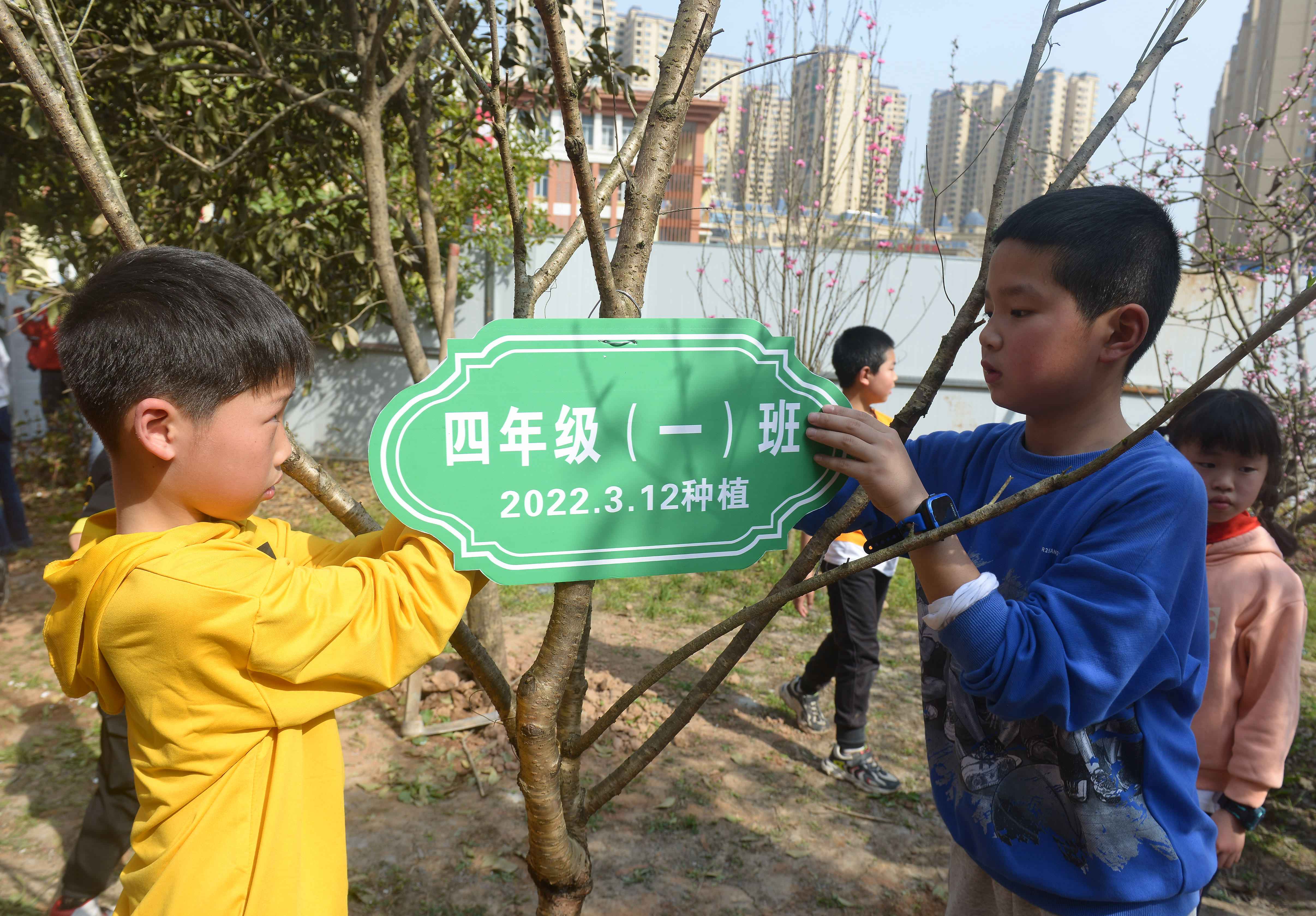 恩阳植树1.jpg 恩阳植树1.jpg