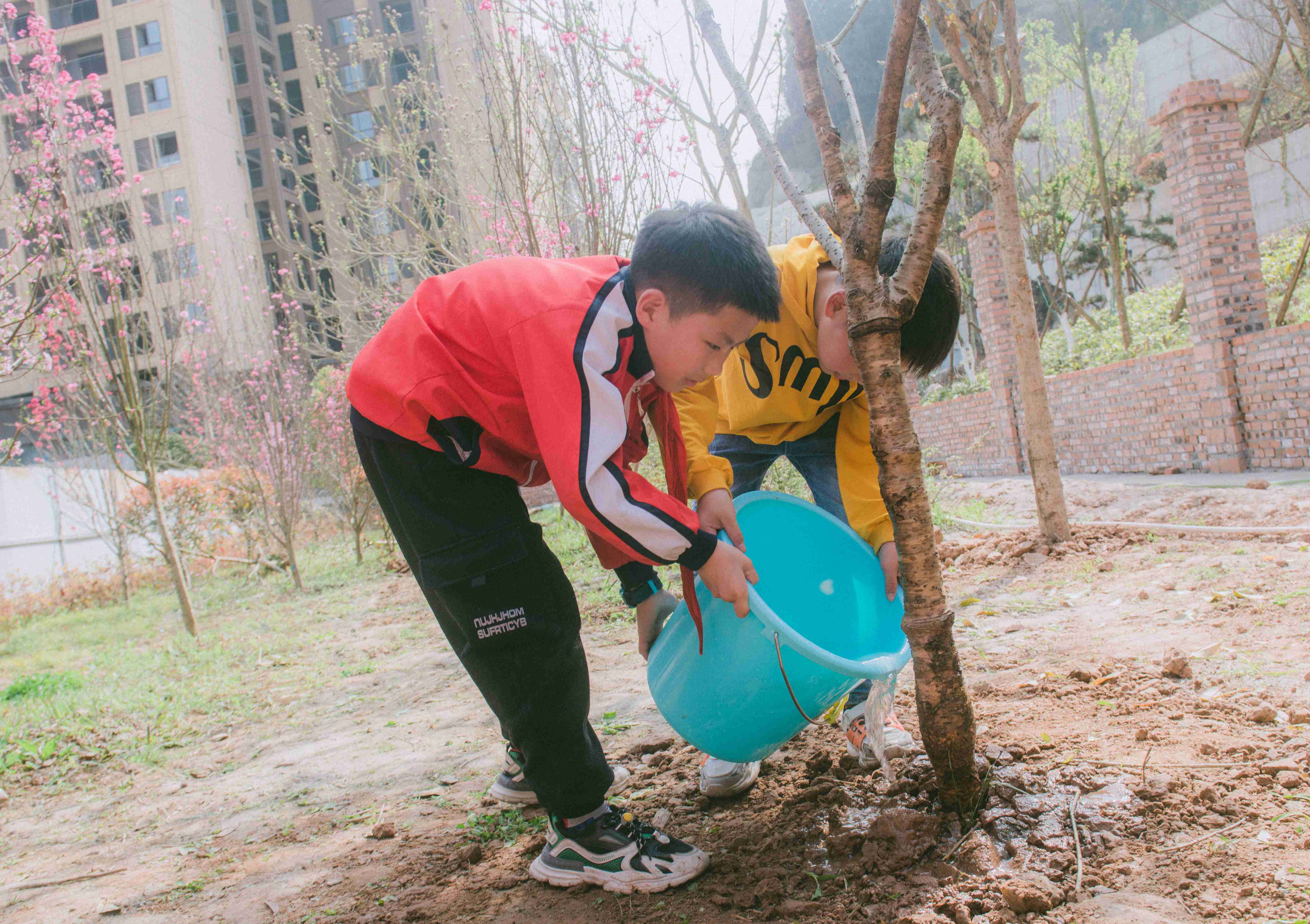 恩阳植树2.jpg 恩阳植树2.jpg
