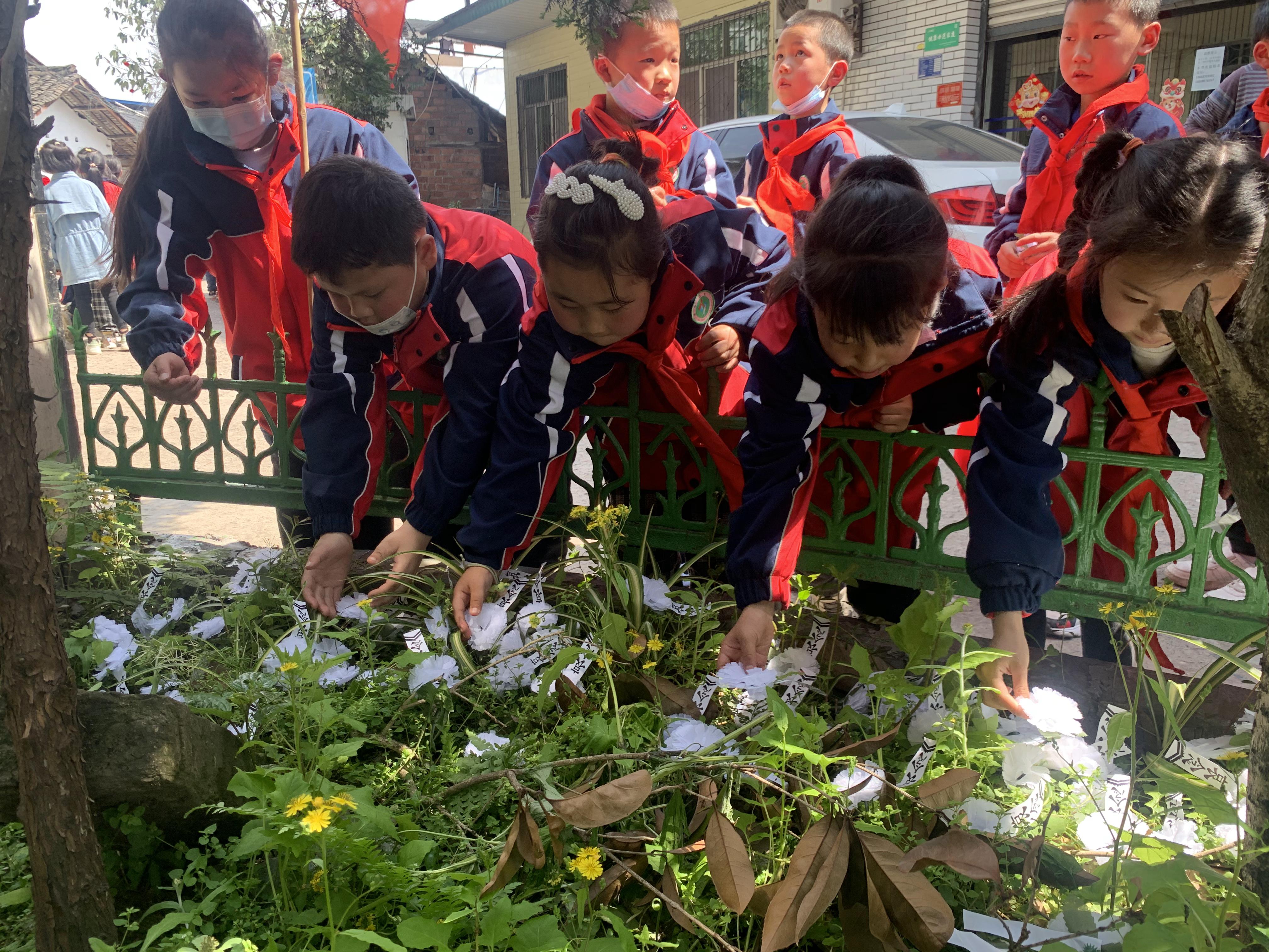 乐山市沙湾区踏水小学开展清明节祭扫活动
