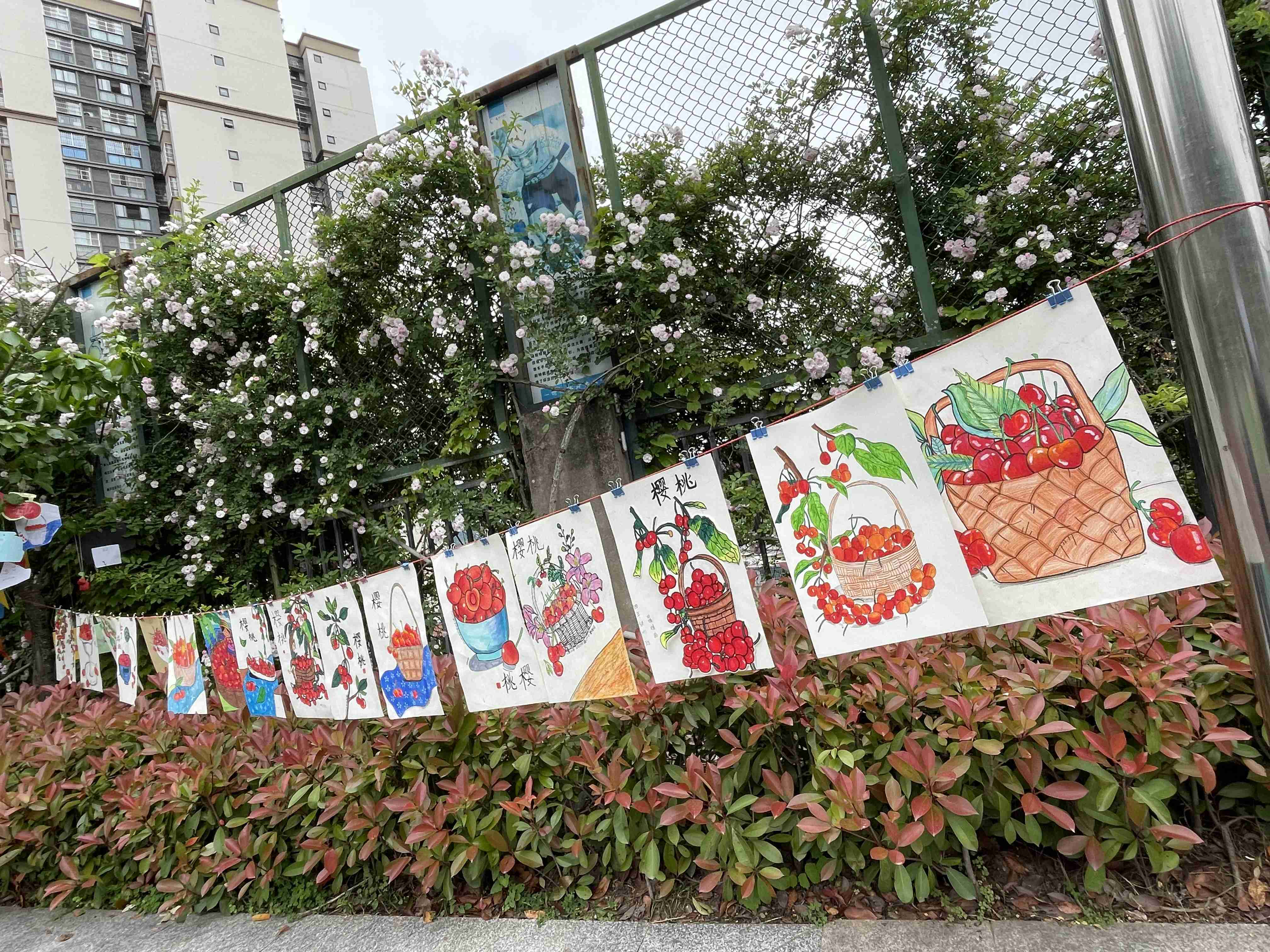 通江六小2.jpg