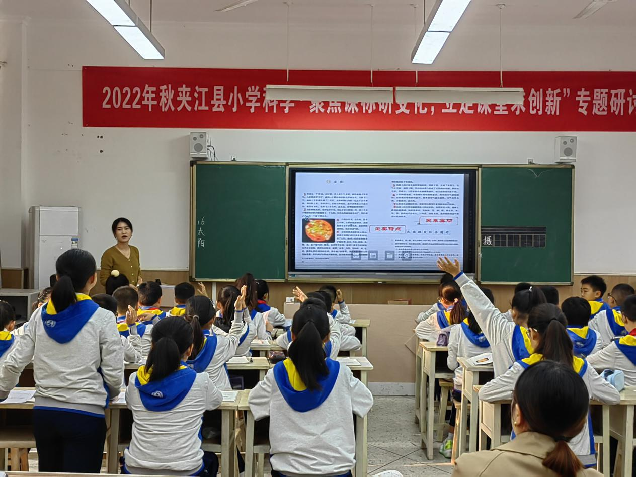 夹江外校开展五六年级语文教研活动