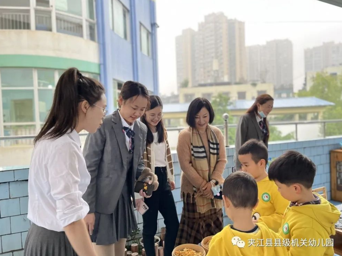 夹江县机关幼儿园:常规视导引领方向,交流研讨共促成长
