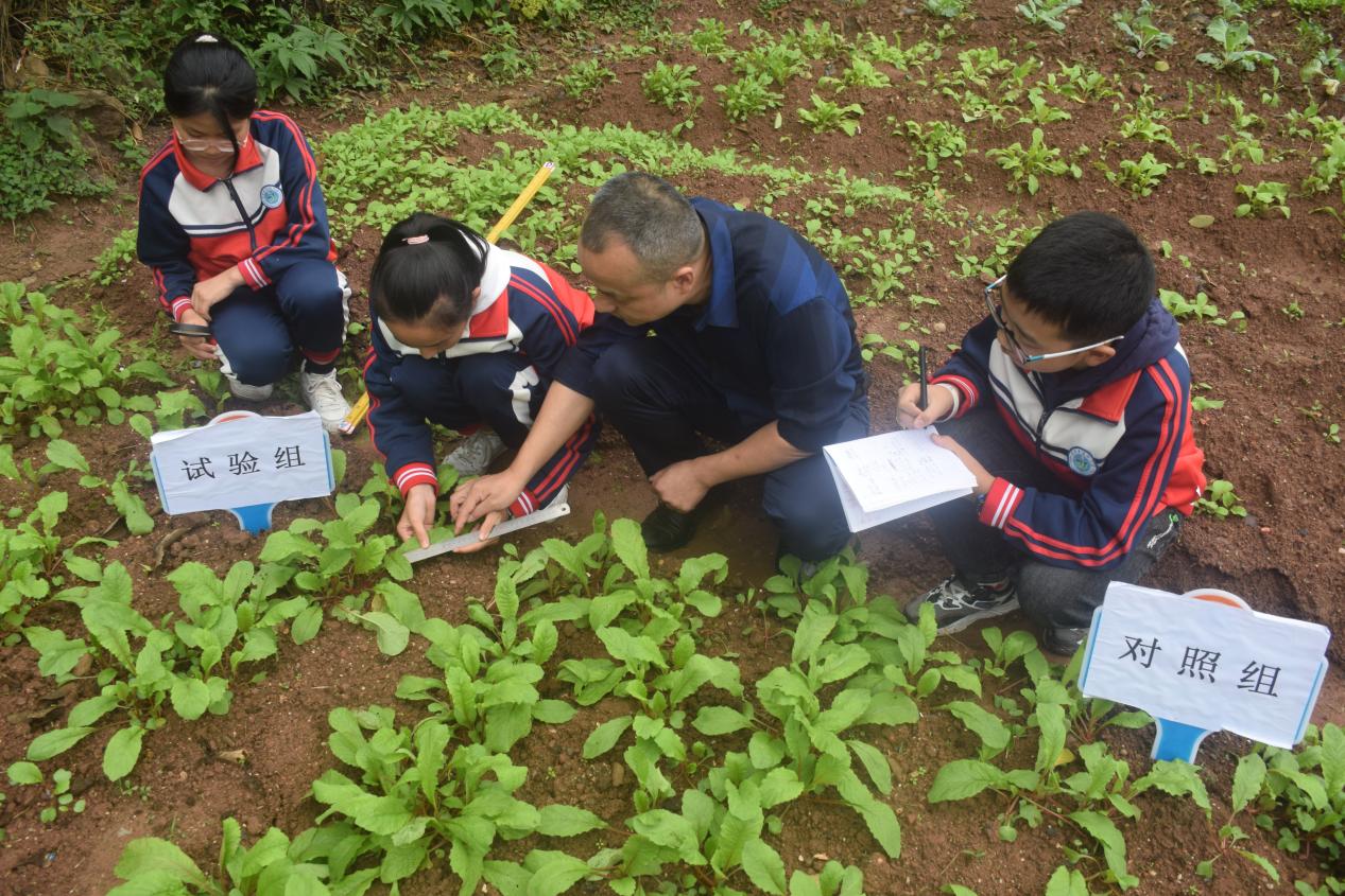 平昌县得胜小学:让科技之花在校园绽放