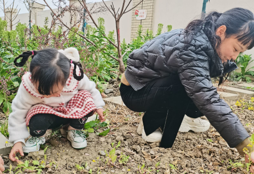 广汉市第六幼儿园:家园牵手备耕种“春天”