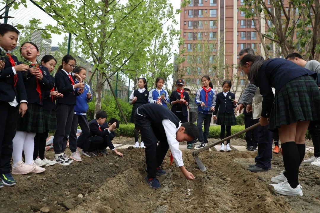 劳动教育 (2).jpg 劳动教育 (2).jpg