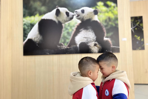 微信图片_20230224092635_副本.png 微信图片_20230224092635_副本.png