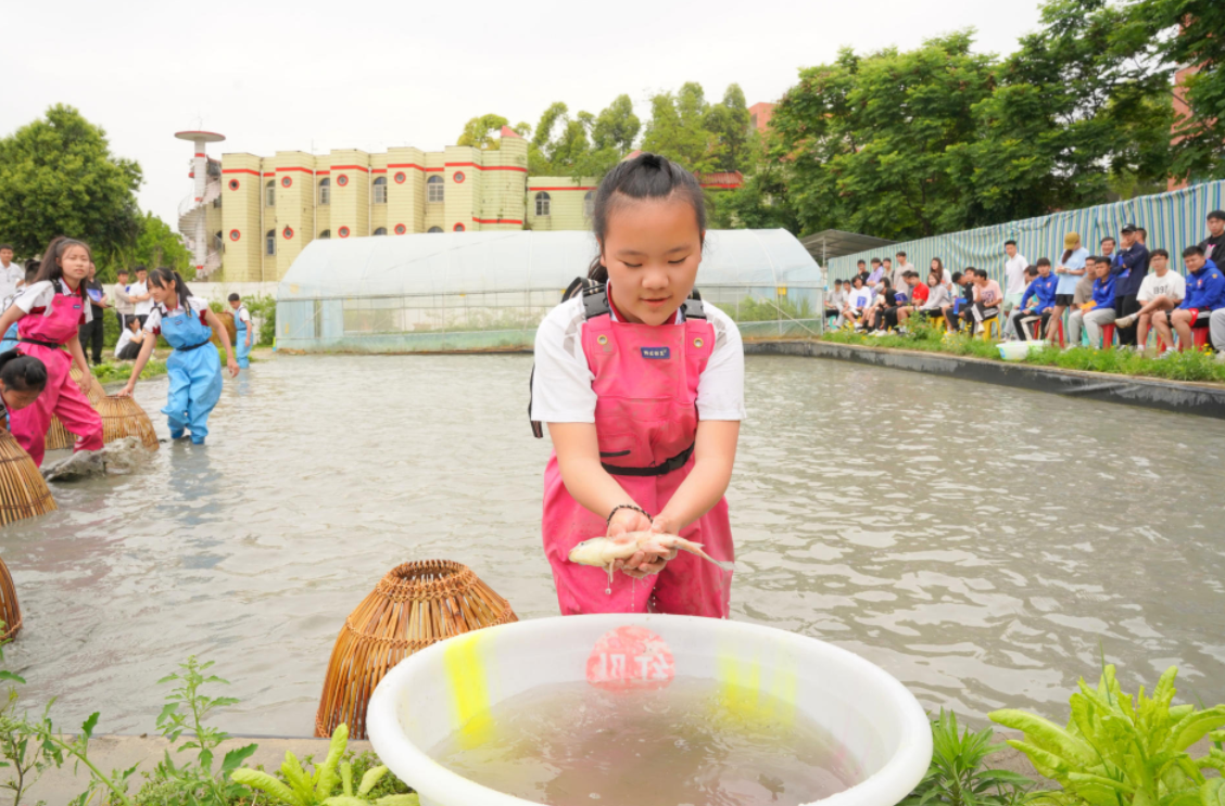 微信截图_20230508195503.png 微信截图_20230508195503.png
