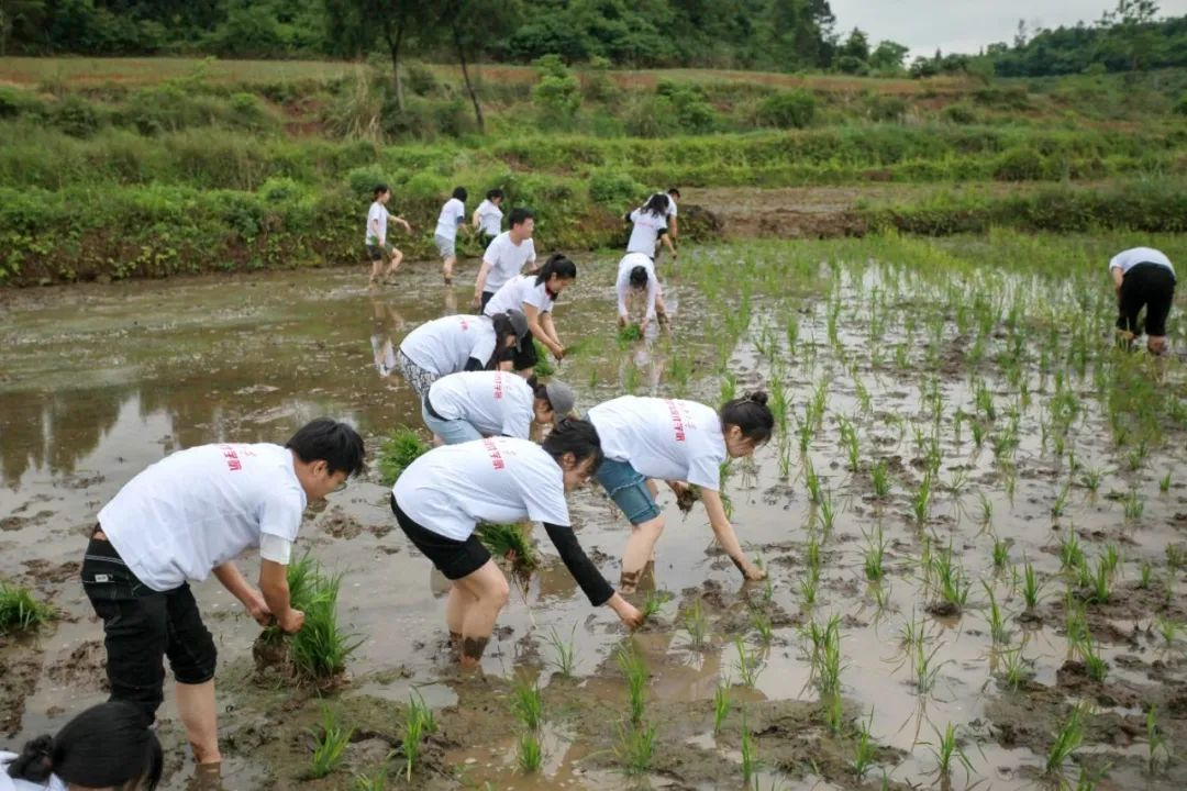 西华大学：将党课搬到田间地头