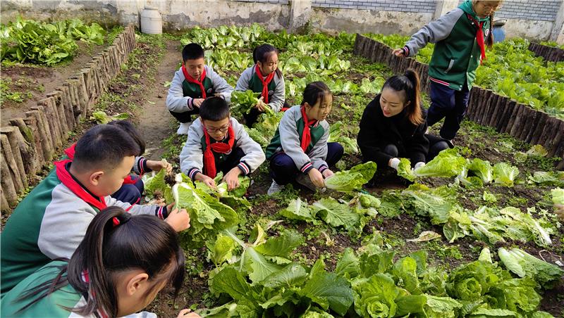 乐山市沙湾小学举行校园丰收节活动