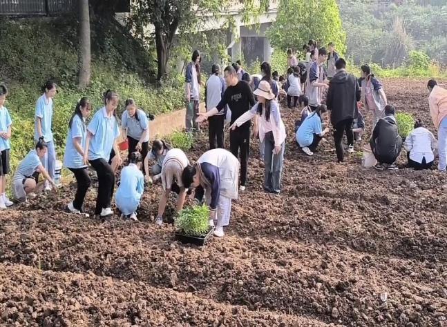 井研县千佛初中开展劳动实践研学活动