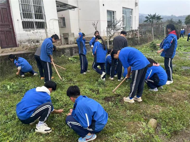 夹江县歇马中小学：将课堂搬进田间