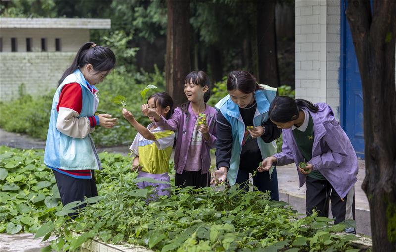 许孩子们一场乡野成长盛宴，四川农业大学志愿者团队走进雷波县箐口乡红岩村举办夏令营活动