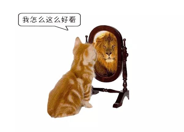 镜子里的我这么美,怎么拍出来成这样了!