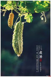 处暑 | 露蝉声渐咽,秋日景初凉。